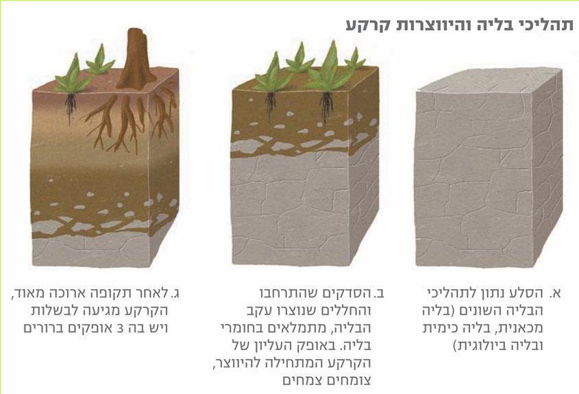 תהליכי בליה והיווצרות קרקע